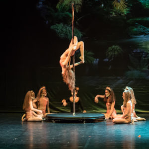 , Ginnastica Acrobatica (Pole Dance/cerchio/tessuti aerei/ Kids)