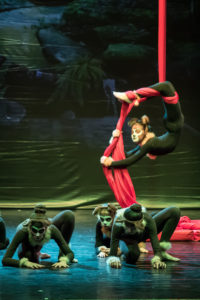 , Ginnastica Acrobatica (Pole Dance/cerchio/tessuti aerei/ Kids)